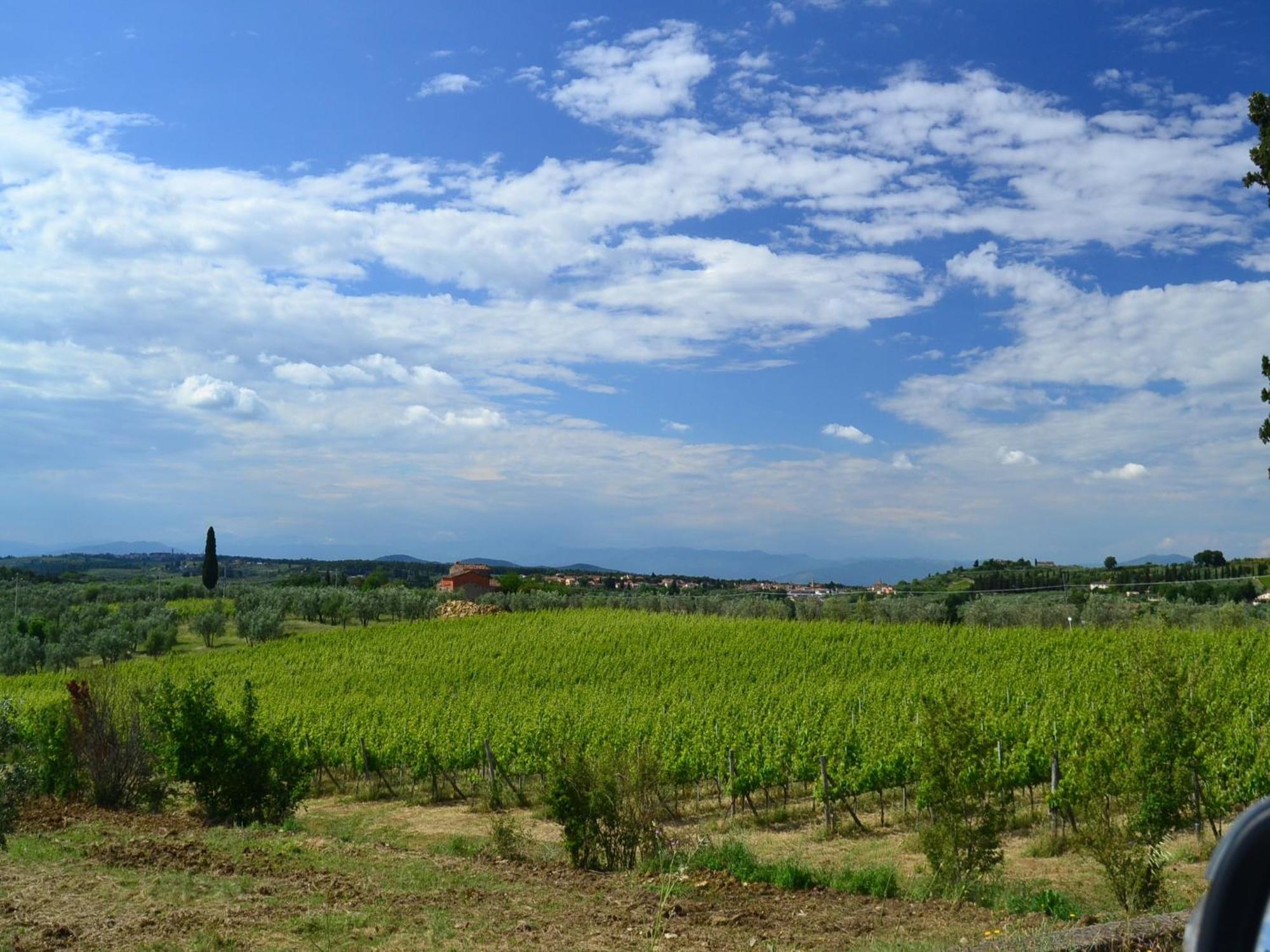 Lovely Holiday Home In Montefiridolfi With Hill View Ngoại thất bức ảnh